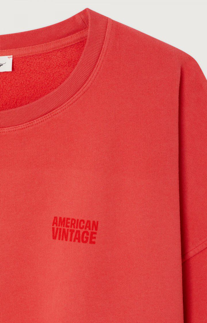 SUDADERA HOLGADA EFECTO VINTAGE CON LOGO AMERICAN VINTAGE 4 SUDADERA HOLGADA EFECTO VINTAGE CON LOGO AMERICAN VINTAGE - Imagen 3